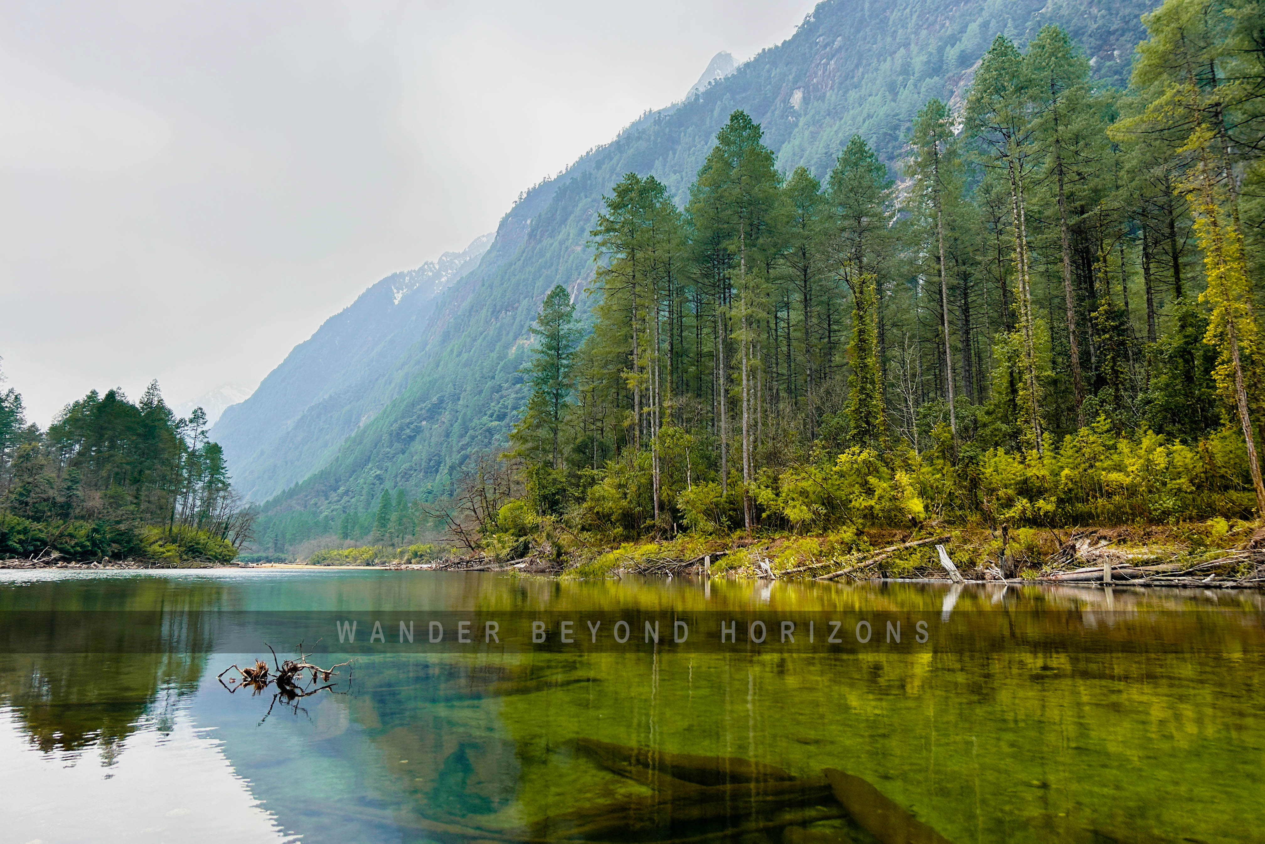 Whispers of Anini  (2).jpg